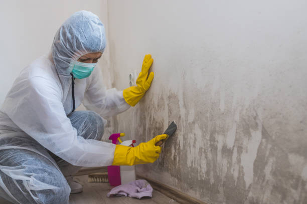 Best Mold Prevention Services  in Rancho Santa Fe, CA