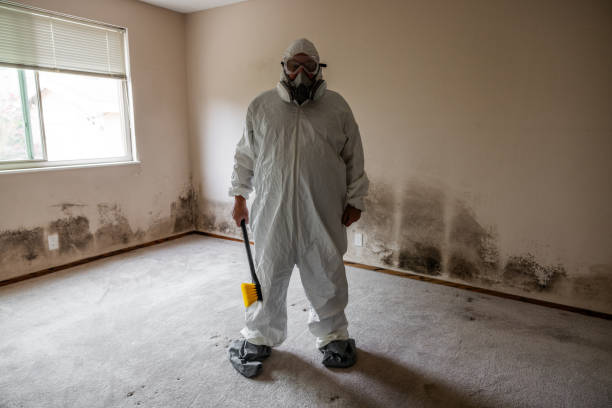 Trusted Rancho Santa Fe, CA Mold Removal Experts